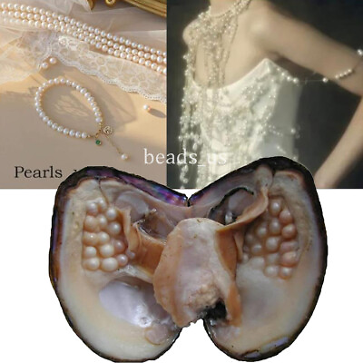 #ad Large Natural Freshwater Cultured Pearl Oyster with 5 7mm 25 Pearls Vacuum Pack $15.19