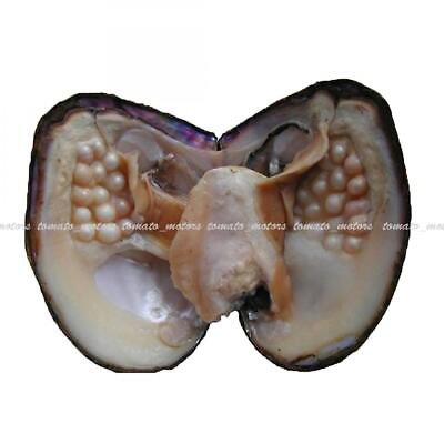 #ad 20 25pcs US Stock Natural Akoya Pearl Oysters Real Pearl Freshwater Pearl 5 8mm $13.99