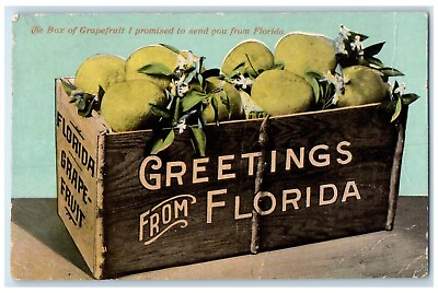 #ad 1912 Greetings From Florida The Box Of Grapefruit De Leon Springs FL Postcard $9.98