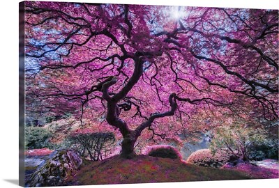 #ad Pink Tree II Canvas Wall Art Print Home Decor $49.99