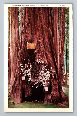 #ad Santa Cruz CA California Card Tree Big Tree Grove Vintage Postcard $7.99