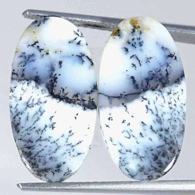 #ad 11.50Cts Natural Dendrite Opal Pair Oval Cabochon Loose Gemstone $6.99