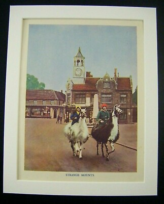 #ad Vintage Llamas Print #x27;40#x27;s Retro Art Bookplate in Mount Ladies Riding LLamas GBP 8.99