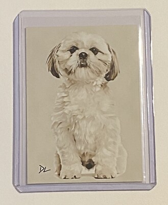 #ad Shih Tzu Limited Edition Artist Signed “Man’s Best Friend” Trading Card 1 10 $19.95