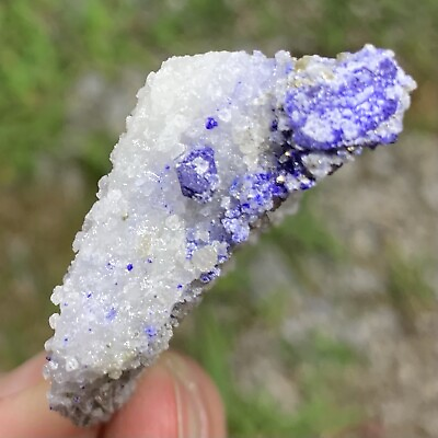 #ad Lapis Lazurite amp; Pyrite Crystals In Calcite Badakhshan AFGHANISTAN 37g $10.78