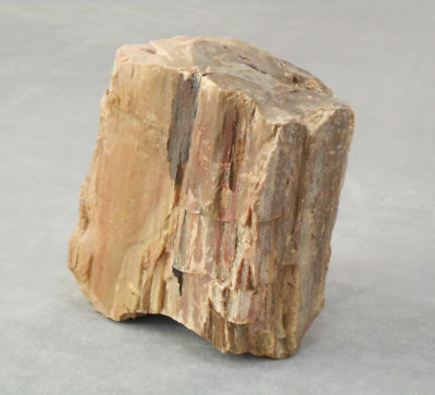 #ad Petrified Wood Quartz Large Display Piece Unique Fossil Specimen 3.5lbs $89.00