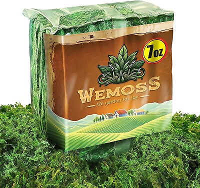 #ad Green Craft Moss Real Forest Moss for Planters Decorative 7 OZ $23.83