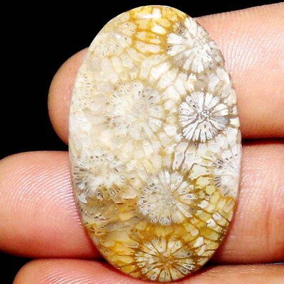 #ad #ad 43.30CT FOSSIL CORAL Cabochon OVAL 27X44X4mm 100% Natural CORAL African Gemstone $15.99