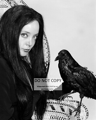 #ad CAROLYN JONES AS MORTICIA IN quot;THE ADDAMS FAMILYquot; 8X10 PUBLICITY PHOTO OP 250 $8.87