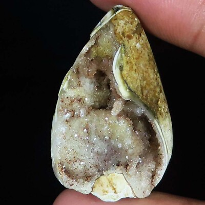 #ad 90.70 CT 100% Natural Fossil Snail Druzy Agate Gemstone 24x40x18 mm CS 301 $11.89