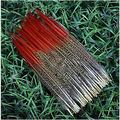 #ad Wholesale 10 100PC 4 8 inches 10 20cm Chicken feather $143.44