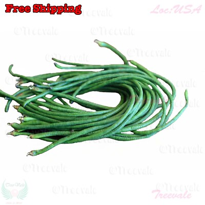 #ad DARK GREEN Yardlong Bean Asparagus Bean Snake Bean Chinese Long Bean Seeds $2.29