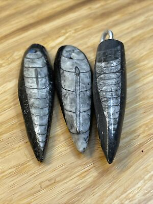 #ad Unique Fossil Jewelry Making Charms Pendants Lot of 3 KG JD $25.00