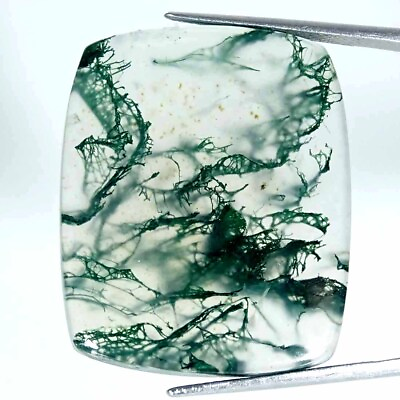 #ad 45.20Cts Natural Green Moss Agate Loose Gemstone Cushion 26x32x5mm $7.99