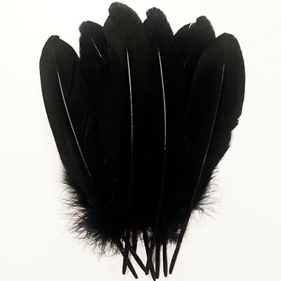 #ad 100pcs Black Feathers 6 8 inches Long15 20cm Beautiful Feather for CraftsBila... $17.61
