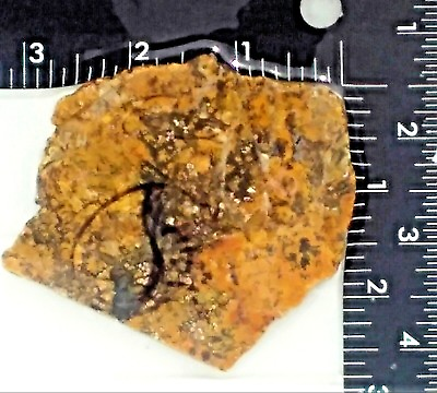 #ad 2.7oz NATURAL yellow orange black JASPER stone slab from rough jewelry cabbing $2.95