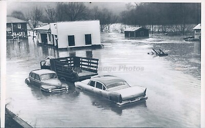 #ad 1957 Photo Flooding Disaster Cars Water Business Homes Shed Vintage Image $17.99