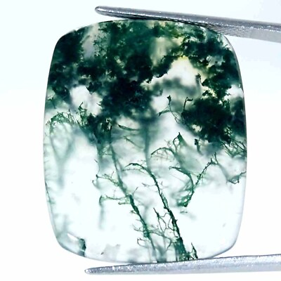 #ad 29.10Cts Natural Green Moss Agate Loose Gemstone Cushion 23x29x4mm $6.99