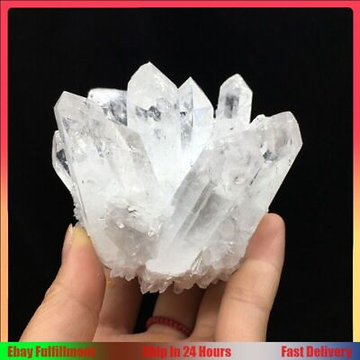 #ad 50g Natural Clear Quartz Crystal Cluster Rock Stone Druzy Geode Specimens Energy $8.54