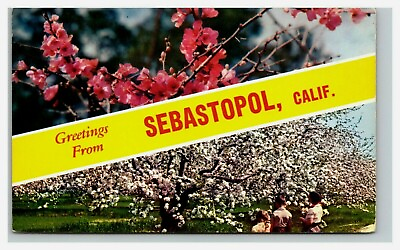 #ad Postcard CA Greetings Banner Flowers Spring View People Sebastopol California $8.95
