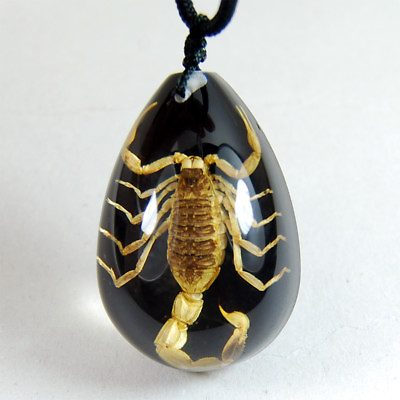 #ad NEW REAL BLACK GOLDEN SCORPION LUCITE NECKLACE PENDANT INSECT JEWELRY TAXIDERMY $6.99