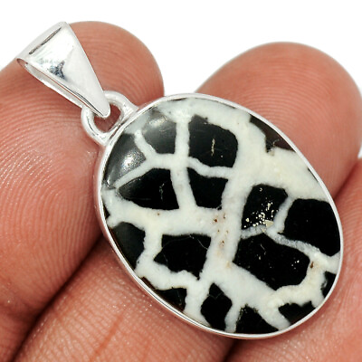 #ad Natural Lightning Stone Septarian 925 Sterling Silver Pendant Jewelry CP33354 $16.99