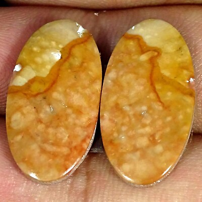 #ad Natural Jasper Gemstone 15.50 Cts Loose Oval Cabochon Pair From Africa 12X22X3MM $6.57