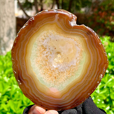 #ad 79G Natural and Beautiful Agate Geode Druzy Slice Extra Large Gem $29.70