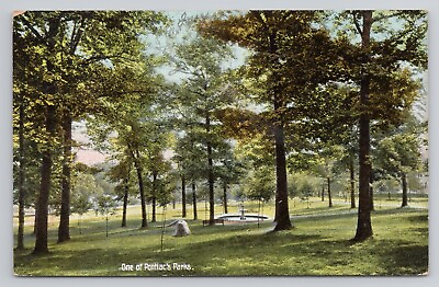 #ad One of Pontiac#x27;s Parks Michigan 1908 Antique Postcard $7.00