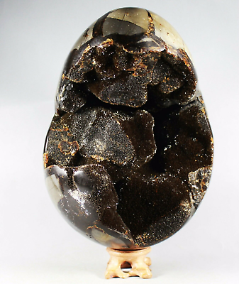 #ad 9.5lb NATURAL Septarian Dragon Crystal Gem geode Mineral Specimen Rosewood Stand $199.99