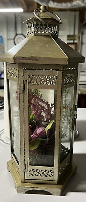 #ad VINTAGE Glass Enclosed Dried Flowers Birds Glass Terrarium Beach Taxidermy $43.99