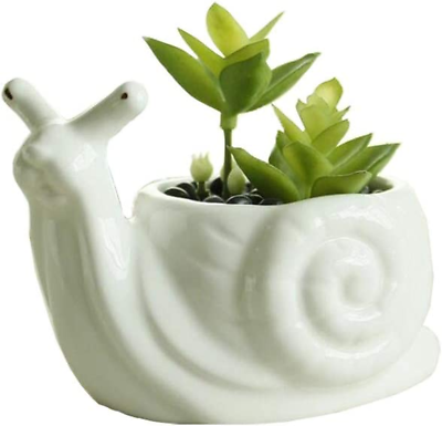 #ad Cute Succulent Planter Animal Shaped Flower Pot Decor for Home Office Desk Snai $5.59