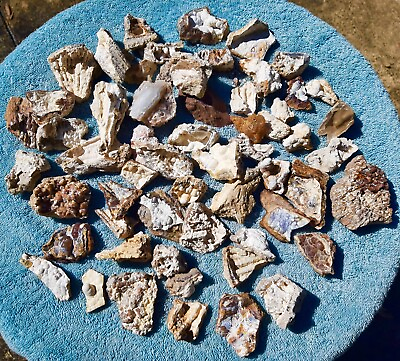 #ad AGATIZED FOSSIL CORAL HUGE JEWELRY LOT OVER 50 PIECES FLORIDA AGATE CRYSTAL $60.00