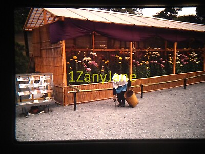 #ad 9G07 35MM SLIDE Photo WORKER CLEANS GROUNDS IN FRONT OF FLOWER DISPLAY $8.87
