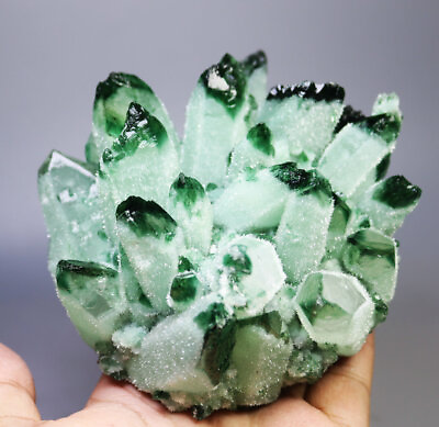 #ad 1.90lb RARE Natural Beatiful Green Quartz Crystal Cluster Mineral Specimen $102.99