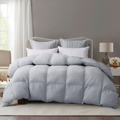 #ad Snowman Gray Ultra Soft All Season Goose Down Comforter Duvet Insert Queen Size $40.42