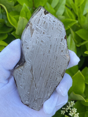 #ad 355.9g Exquisite M meteorite iron meteorite Leftover material thin slice $249.99