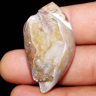 #ad 110.65 CT 100% Natural Fossilized Snail Druzy Agate Shell LOOSE stone 25X46X16mm $16.55