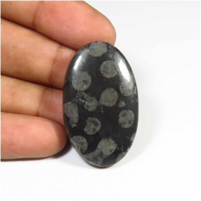 #ad Fossil Black Gemstone 35x22 mm Oval Shape Smooth Natural Cabochon 37 Cts FL 96 $9.09
