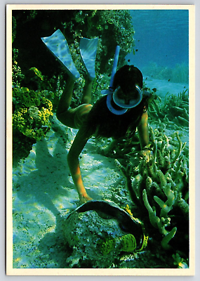 #ad Scuba Diver Giant Clam North Queensland Australia Great Barrier Reef Postcard $8.90