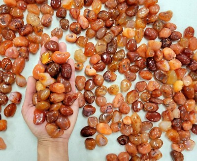 #ad Tumbled Carnelian Crystal Stones size SMALL 1 2 inch to 1 inch $8.50