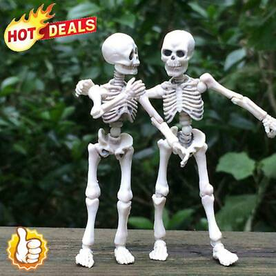 #ad Halloween Movable Man Skeleton Human Model Skull Full Body Mini Figure Toy^ $4.05