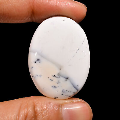 #ad Natural Dendrite Opal Oval Shape Cabochon Loose Gemstone 41 Ct 35X25X7mm EE22479 $3.30