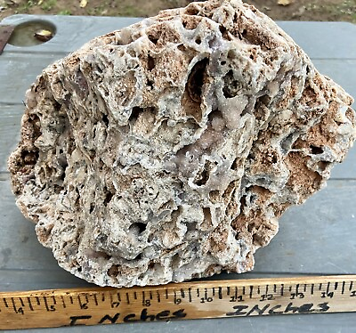#ad CAPTIVATING 20 Lb Fossil Coral Display Rock Beautiful Chalcedony amp; Druzy Sparkle $50.00