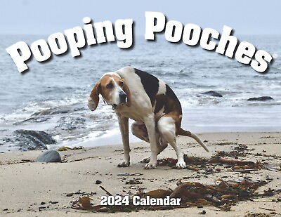 #ad 2024 Pooping Pooches Dog Calendar White Elephant Gag Gift Exchange Yankee Swap $14.99