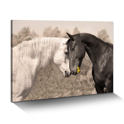 #ad Ranch Horse Canvas Wall Art Black and White Equines Friendly Painting Lovely ... $64.09
