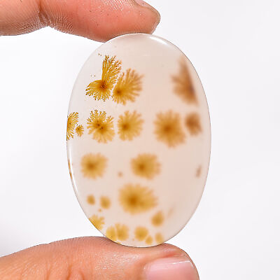 #ad 45.00 Cts. 100% Natural Beautiful Scenic Dendritic Agate Oval Cab Loose Gemstone $43.00