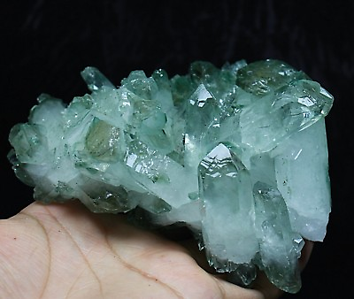 #ad 576g RARE New Find Natural Beatiful Green Quartz Crystal Cluster Specimen $59.99