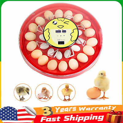 #ad 30 Egg Digital Incubator Chicken Quail Hatcher Incubators for Hatching Eggs 110V $55.10
