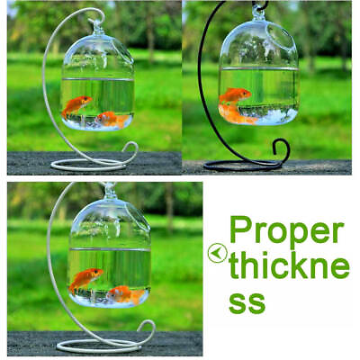 #ad Hanging Glass Vase Plant Terrarium Home Decor Fish Tank Clear Container Planter $13.00